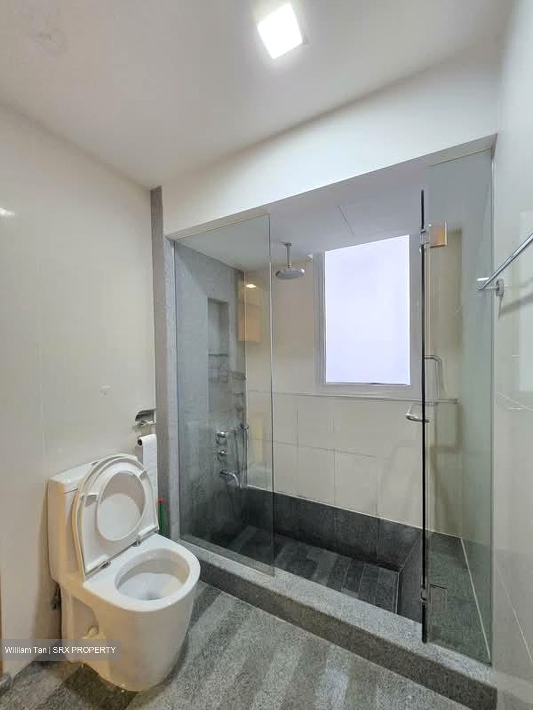 8 @ Mount Sophia (D9), Condominium #568336221